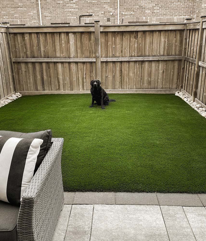 Looking For Thorold Astroturf Company Contractors Thorold