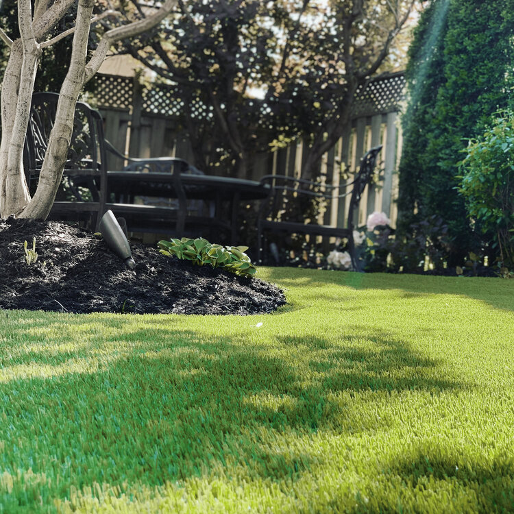 Mississauga Artificial Grass Installers