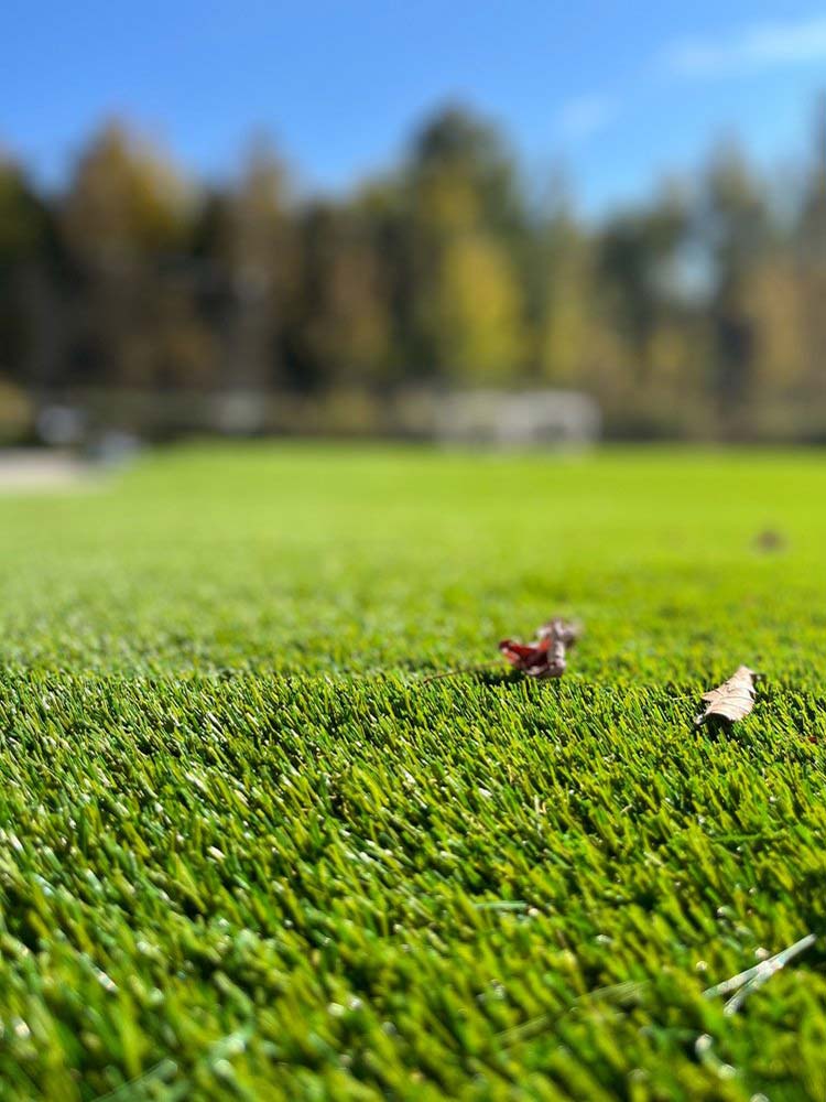 Fort Erie Natural Look Turf Consultation