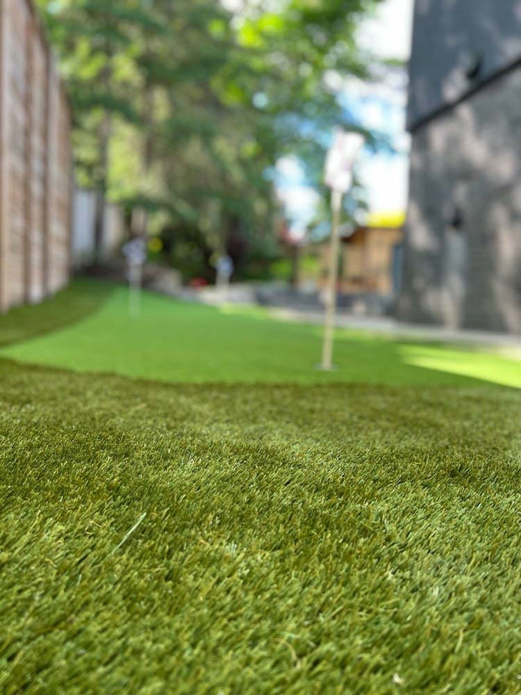 Looking For Natural Look Turf Consultation Milton